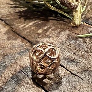 New Authentic Pandora Infinity Shine Ball Pandora Rose TM Charm ALE Love Family